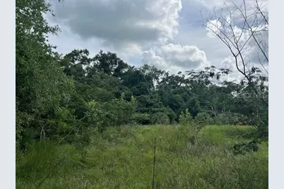 3231 NE Hwy 41, Williston, FL 32696 - Photo 24