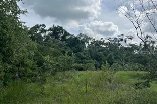 3231 NE Hwy 41, Williston, FL 32696 - Photo 24