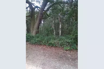 00 NE 147th Court, Silver Springs, FL 34488 - Photo 2