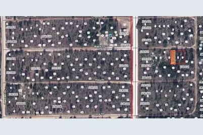 Maple Drive, Interlachen, FL 32148 - Photo 2