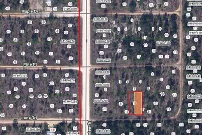 00 Lime Street, Interlachen, FL 32148 - Photo 2