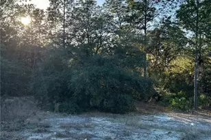 SW South Wind Ct, Dunnellon, FL 34431 - Photo 1