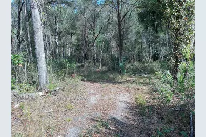 00 E Hwy 316, Fort Mc Coy, FL 32134 - Photo 2