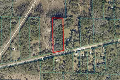 00 E Hwy 316, Fort Mc Coy, FL 32134 - Photo 4