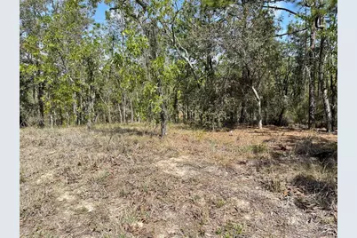 Lot 6 SE 2 Street, Williston, FL 32696 - Photo 2