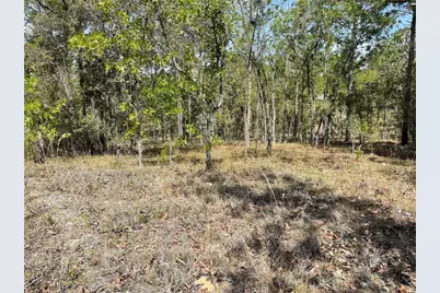 Lot 6 SE 2 Street, Williston, FL 32696 - Photo 4