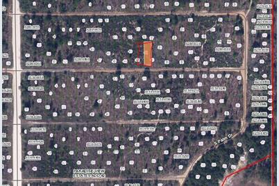 00 Birch Street, Interlachen, FL 32148 - Photo 2