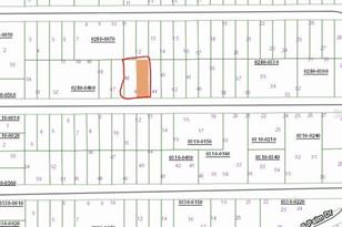 Birch St, Interlachen, FL 32148 - Photo 1