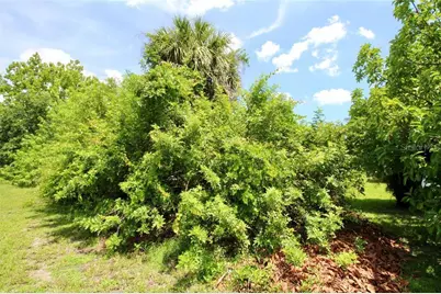 18311 Van Nuys Circle, Port Charlotte, FL 33948 - Photo 28