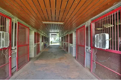 13450 NW Gainesville Road, Reddick, FL 32686 - Photo 18