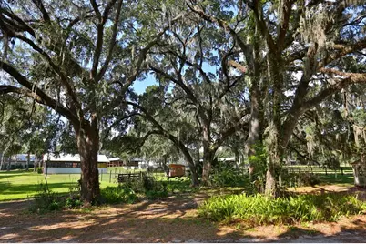 13450 NW Gainesville Road, Reddick, FL 32686 - Photo 8