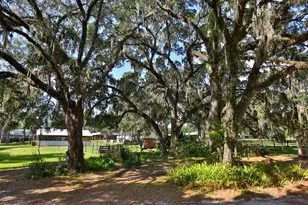 13450 NW Gainesville Rd, Reddick, FL 32686 - Photo 8
