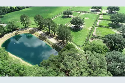 13450 NW Gainesville Road, Reddick, FL 32686 - Photo 4