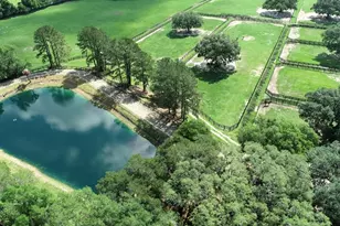 13450 NW Gainesville Rd, Reddick, FL 32686 - Photo 4