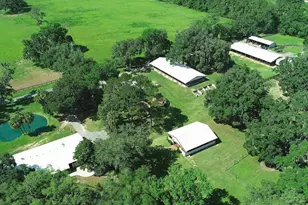 13450 NW Gainesville Rd, Reddick, FL 32686 - Photo 30