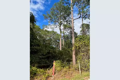 Se 74th Lane Road #8-WEST, Ocklawaha, FL 32179 - Photo 46