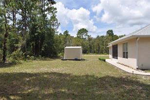 15580 NE 16 Ln, Williston, FL 32696 - Photo 6