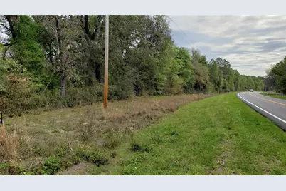 E Hwy 316, Fort Mc Coy, FL 32134 - Photo 2