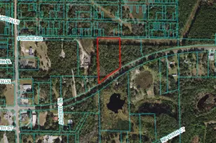 E Hwy 316, Fort Mc Coy, FL 32134 - Photo 1
