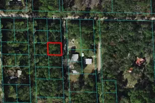 00 NE 67th Ave, Citra, FL 32113 - Photo 1