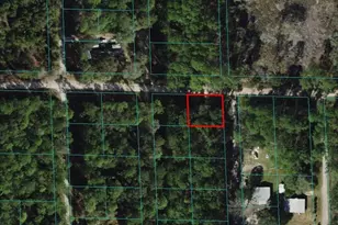 00 NE 137th Pl, Citra, FL 32113 - Photo 1