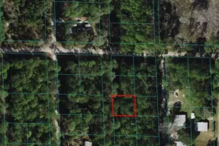 00 NE 66th Ct, Citra, FL 32113 - Photo 1