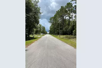 Tbd SW 59th Lane, Dunnellon, FL 34431 - Photo 6