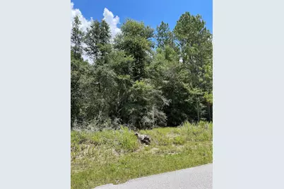 Tbd SW 59th Lane, Dunnellon, FL 34431 - Photo 10