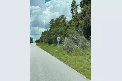 Tbd SW 59th Lane, Dunnellon, FL 34431 - Photo 12