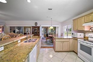 8619 Se 134th St, Summerfield, FL 34491