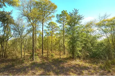 00 NE 122nd Avenue, Williston, FL 32696 - Photo 1