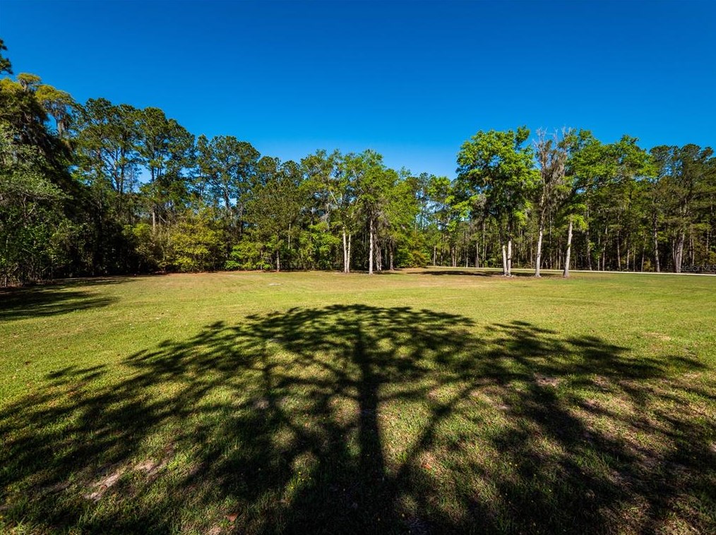 8650 Nw 187th Ln, Flemington, FL 32686