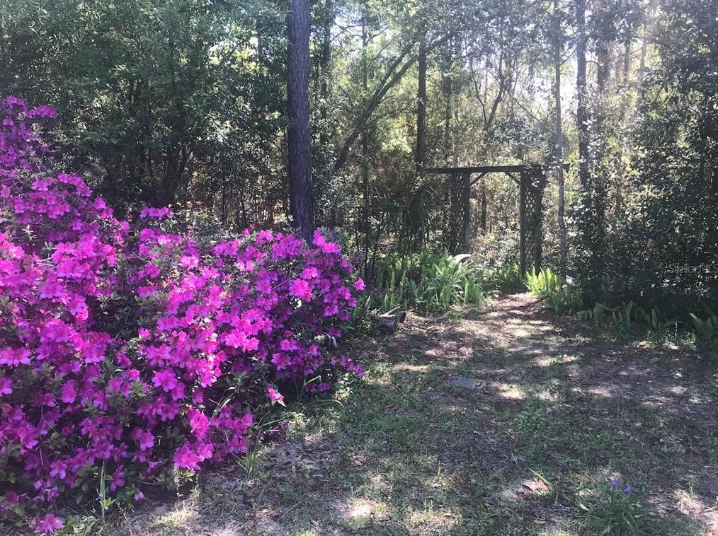 8501 209th Ct, Dunnellon FL  34431-5341 exterior