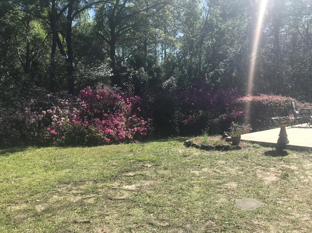 8501 209th Ct, Dunnellon FL  34431-5341 exterior