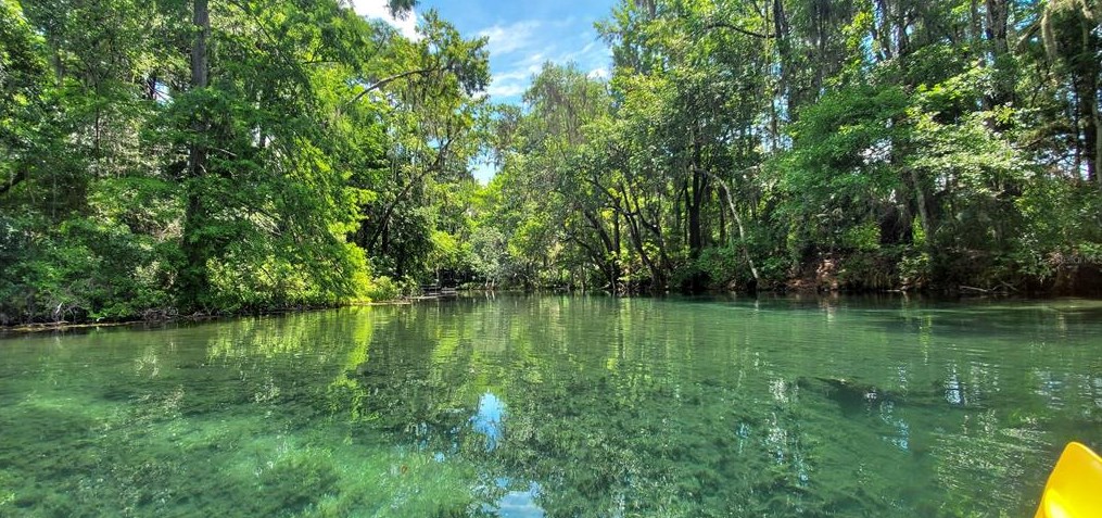 8501 209th Ct, Dunnellon FL  34431-5341 exterior