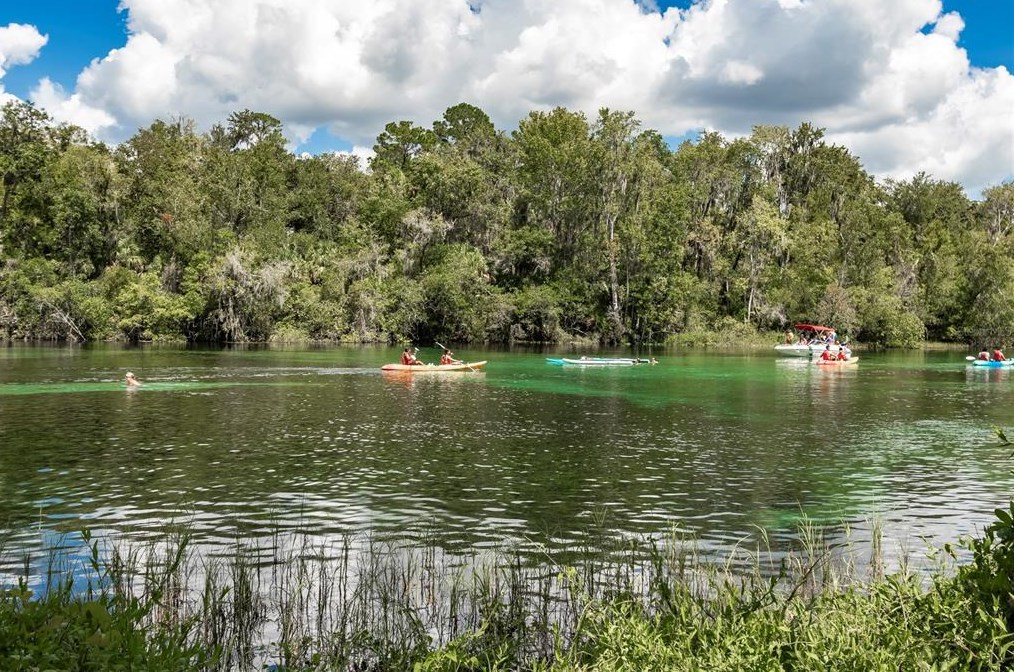 8501 209th Ct, Dunnellon FL  34431-5341 exterior