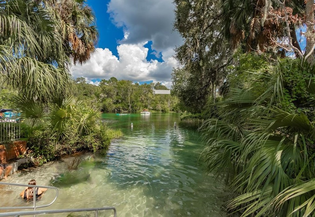 8501 209th Ct, Dunnellon FL  34431-5341 exterior