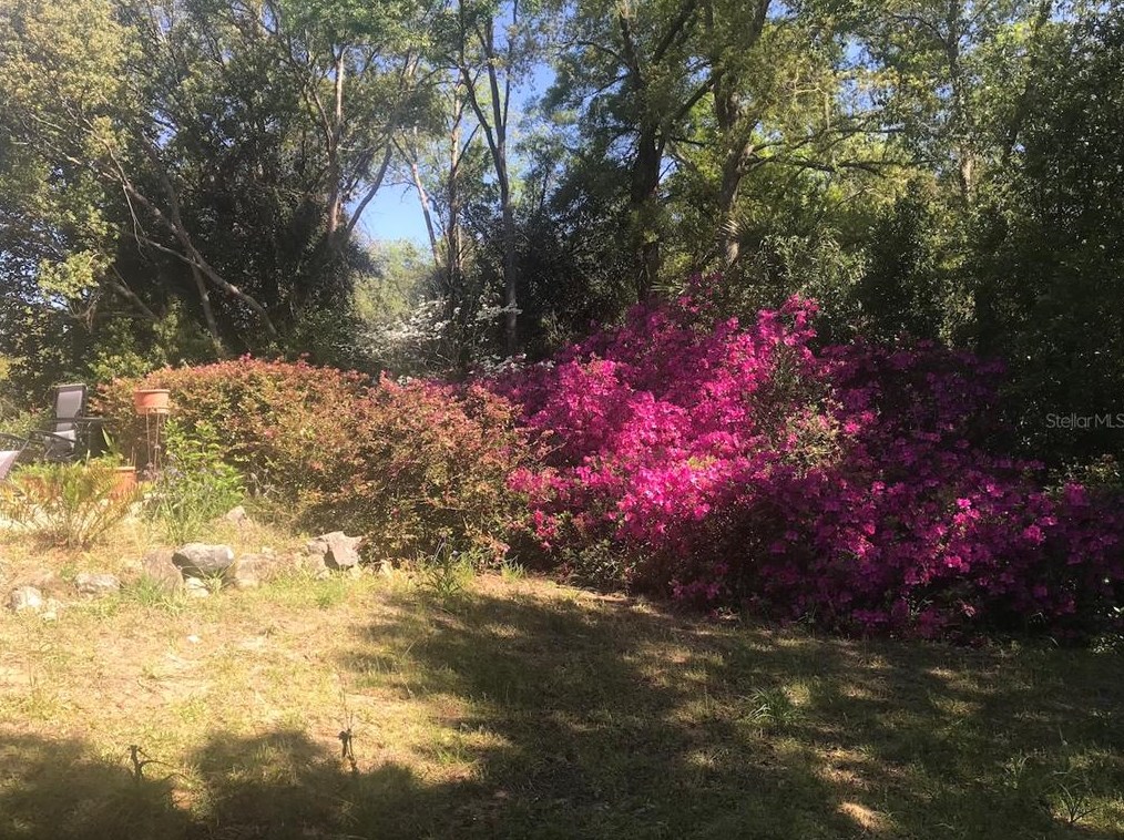 8501 209th Ct, Dunnellon FL  34431-5341 exterior