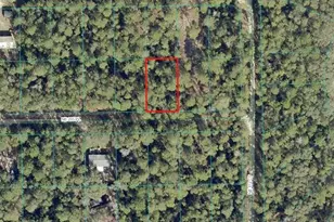 00 NE 235th Pl, Fort Mc Coy, FL 32134 - Photo 1