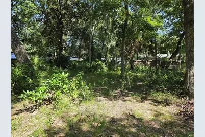0 NE 167th Terrace, Silver Springs, FL 34488 - Photo 8