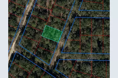 000 NE 156th Avenue, Williston, FL 32696 - Photo 8
