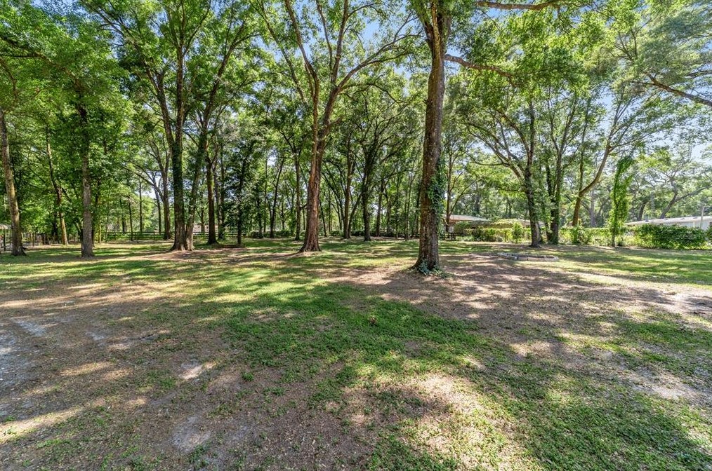 10790 151 Pl, Dunnellon FL 34432-6753 exterior