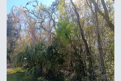 145 Palm Drive, Bronson, FL 32621 - Photo 4