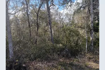 145 Palm Drive, Bronson, FL 32621 - Photo 6