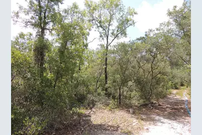 5551 SW 103rd Court, Cedar Key, FL 32625 - Photo 1