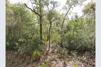 5551 SW 103rd Court, Cedar Key, FL 32625 - Photo 6