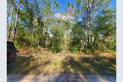 Tbd SW 159 Avenue, Ocala, FL 34481 - Photo 4