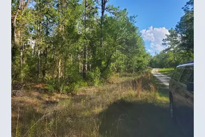 Tbd SW 159 Avenue, Ocala, FL 34481 - Photo 2