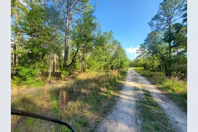 Tbd SW 159 Avenue, Ocala, FL 34481 - Photo 8