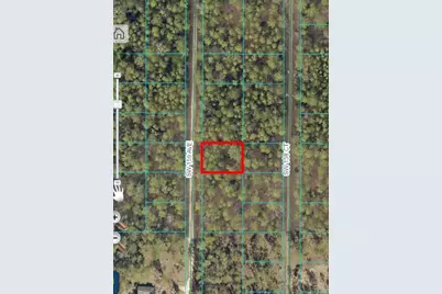 Tbd SW 159 Avenue, Ocala, FL 34481 - Photo 16